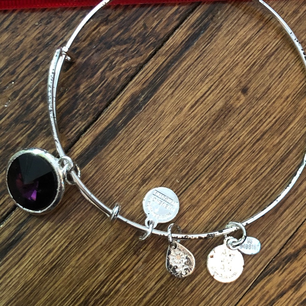 Alex and ani amethyst February birth stone